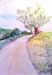 albero con strada