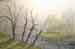 effetto_nebbia
